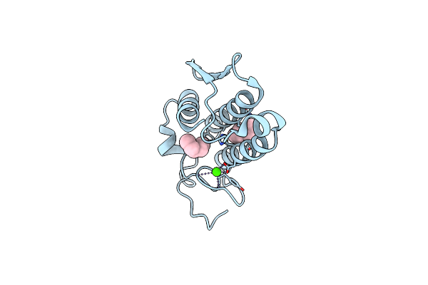 1BP2 image