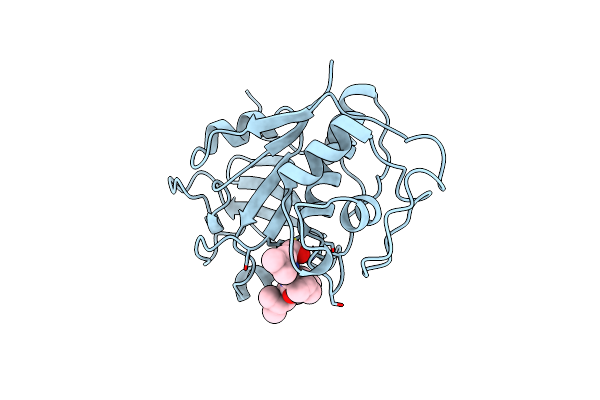 1BP4 image