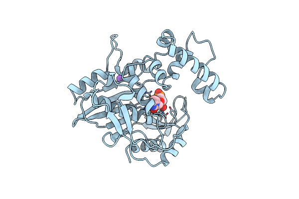 1BP6 image