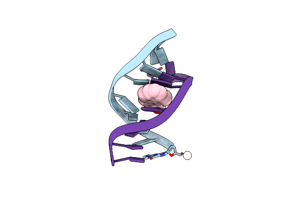 1BPS image
