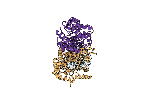 1BRL image