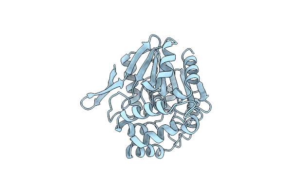 1BRT image