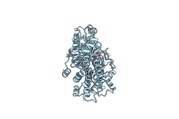 1BS2 image