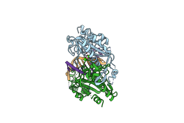 1BSS image
