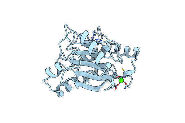 1BSW image