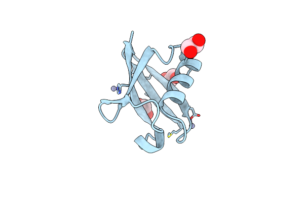 1BT0 image