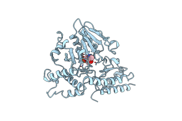 1BT4 image
