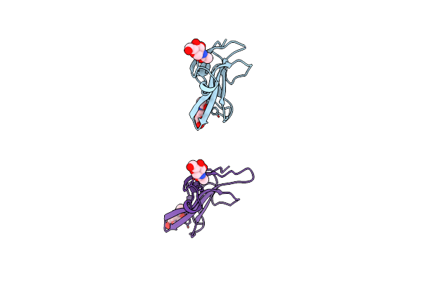 1BTE image