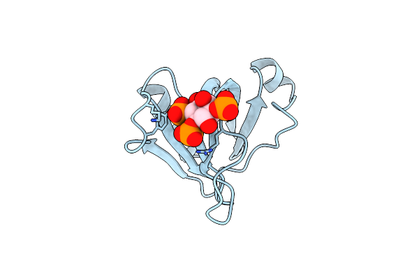 1BTN image