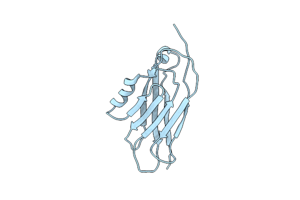 1BV8 image