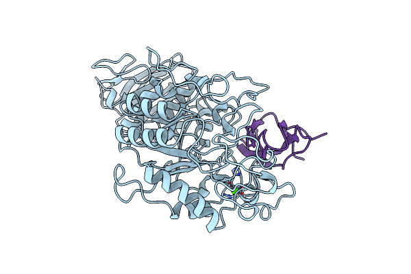 1BVN image