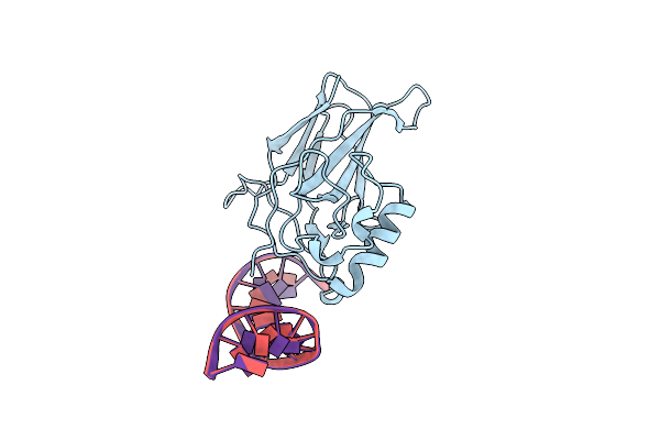 1BVO image