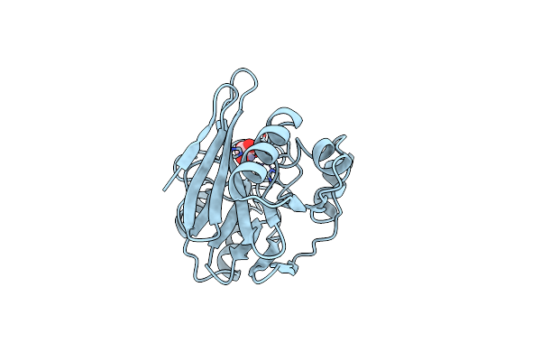 1BVT image