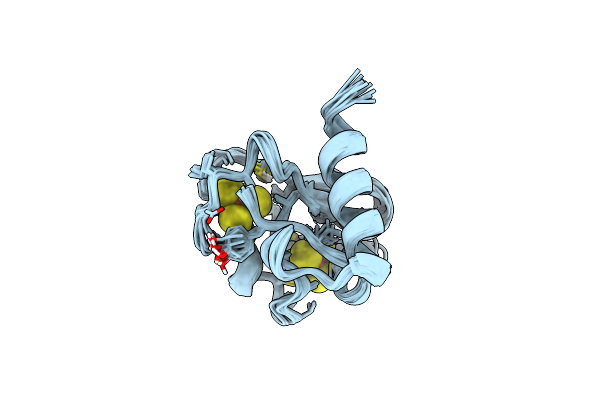 1BWE image