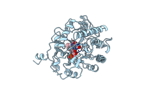 1BWK image