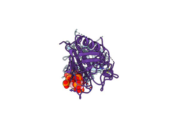 1BWN image