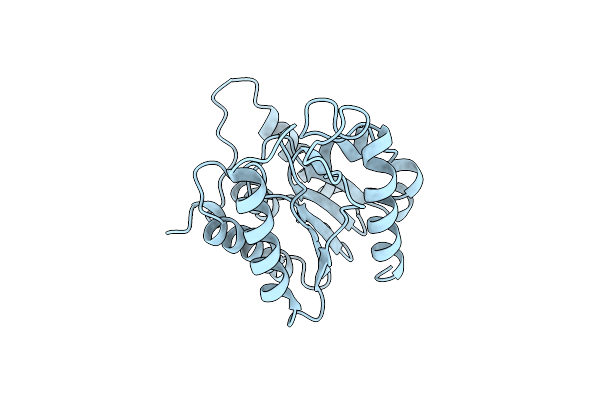 1BWP image