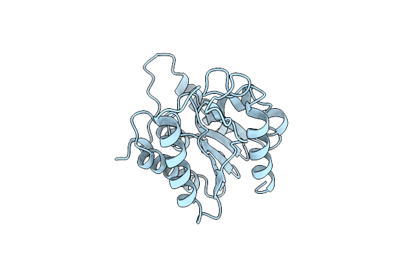 1BWR image