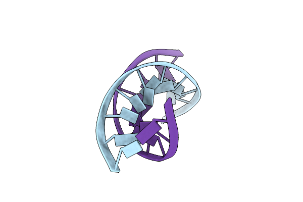 1BWT image