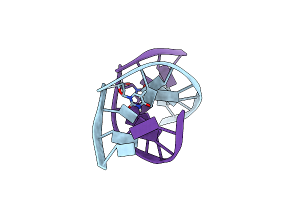 1BX5 image