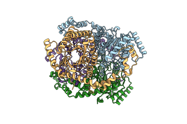 1BXC image