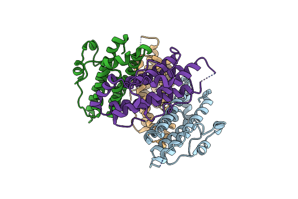 1C03 image