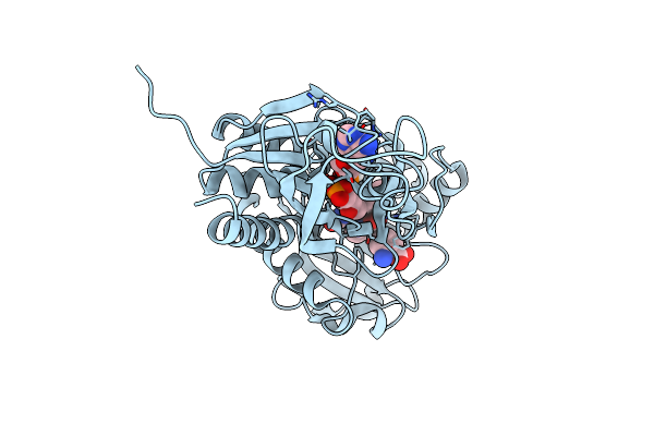 1C0I image