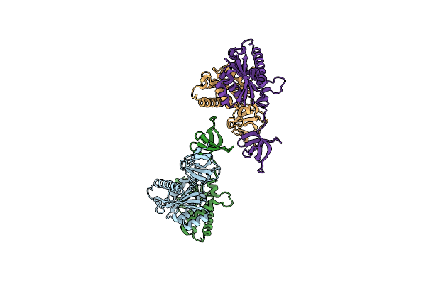 1C0M image