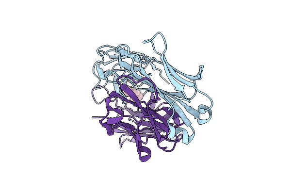 1C12 image