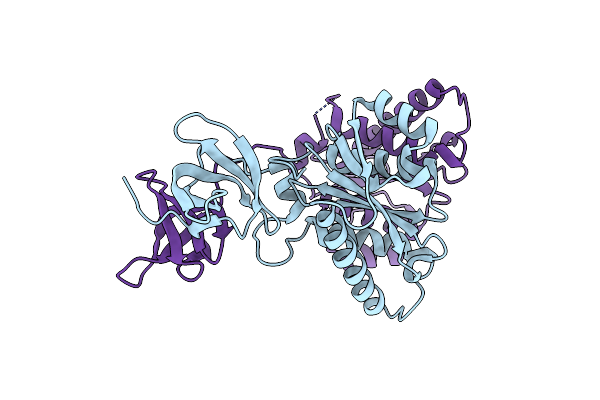 1C1A image