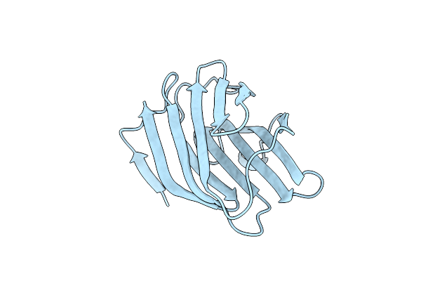 1C1F image