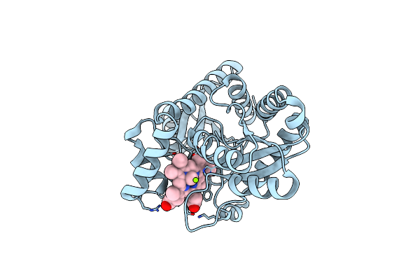 1C1H image