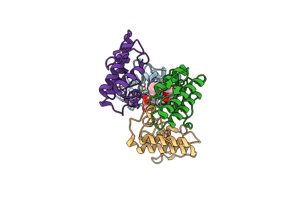 1C1J image