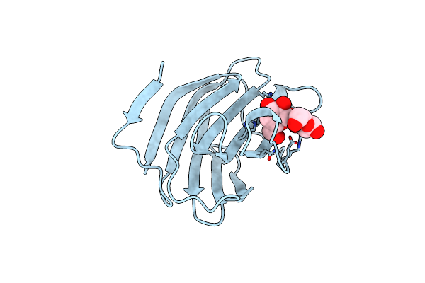 1C1L image