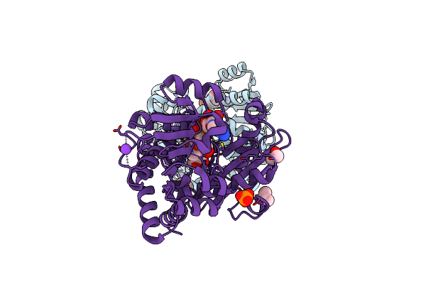 1C1X image