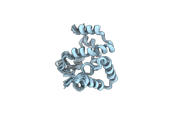 1C20 image