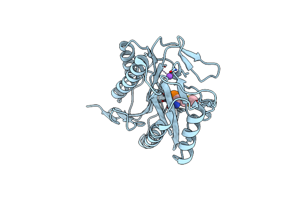 1C24 image