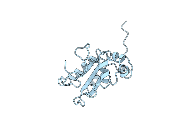 1C25 image