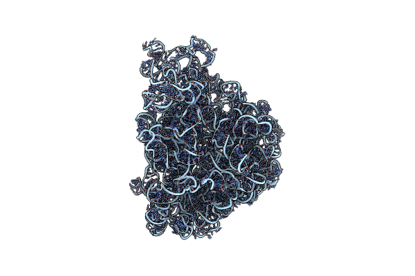 1C2W image