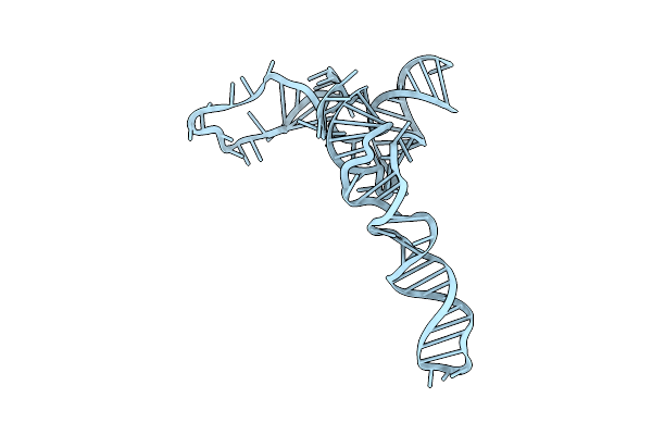 1C2X image
