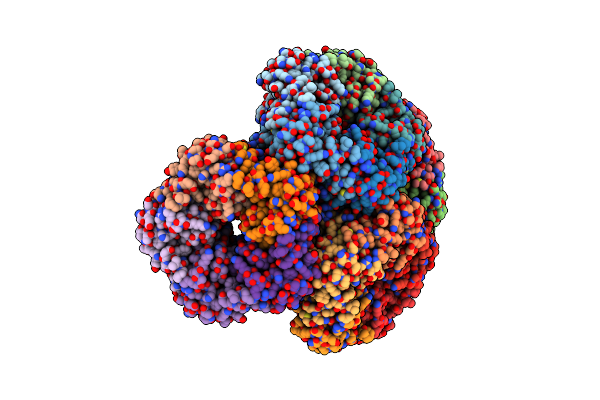 1C2Y image