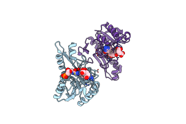 1C3E image