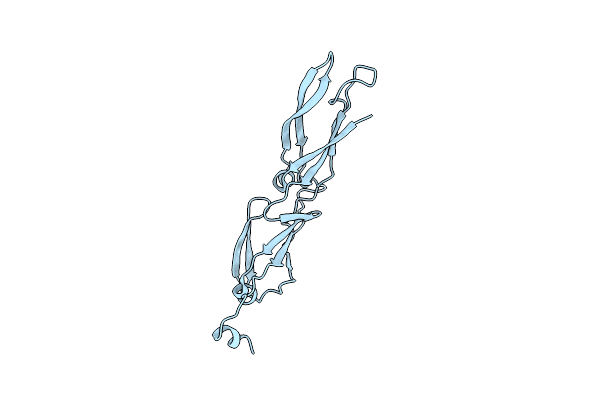 1C3G image