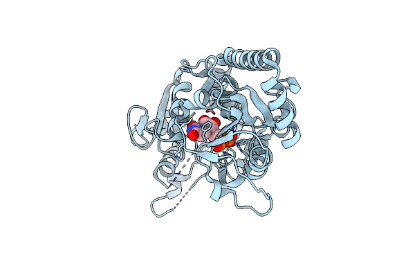 1C3J image