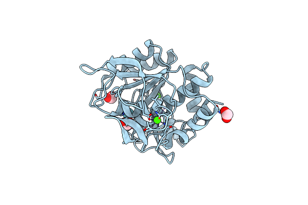 1C3L image
