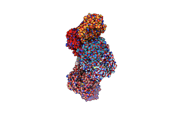 1C3O image