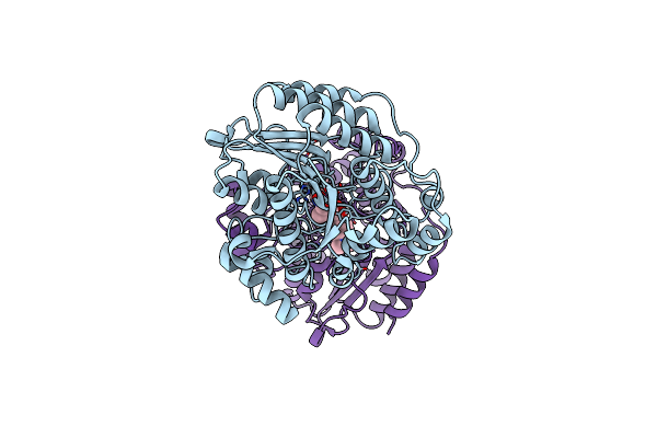 1C3R image