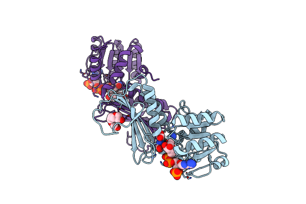 1C3V image