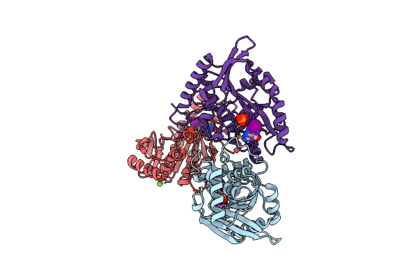 1C3X image