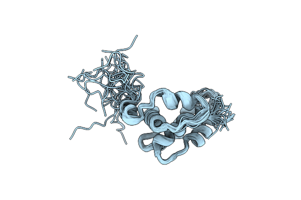 1C3Y image